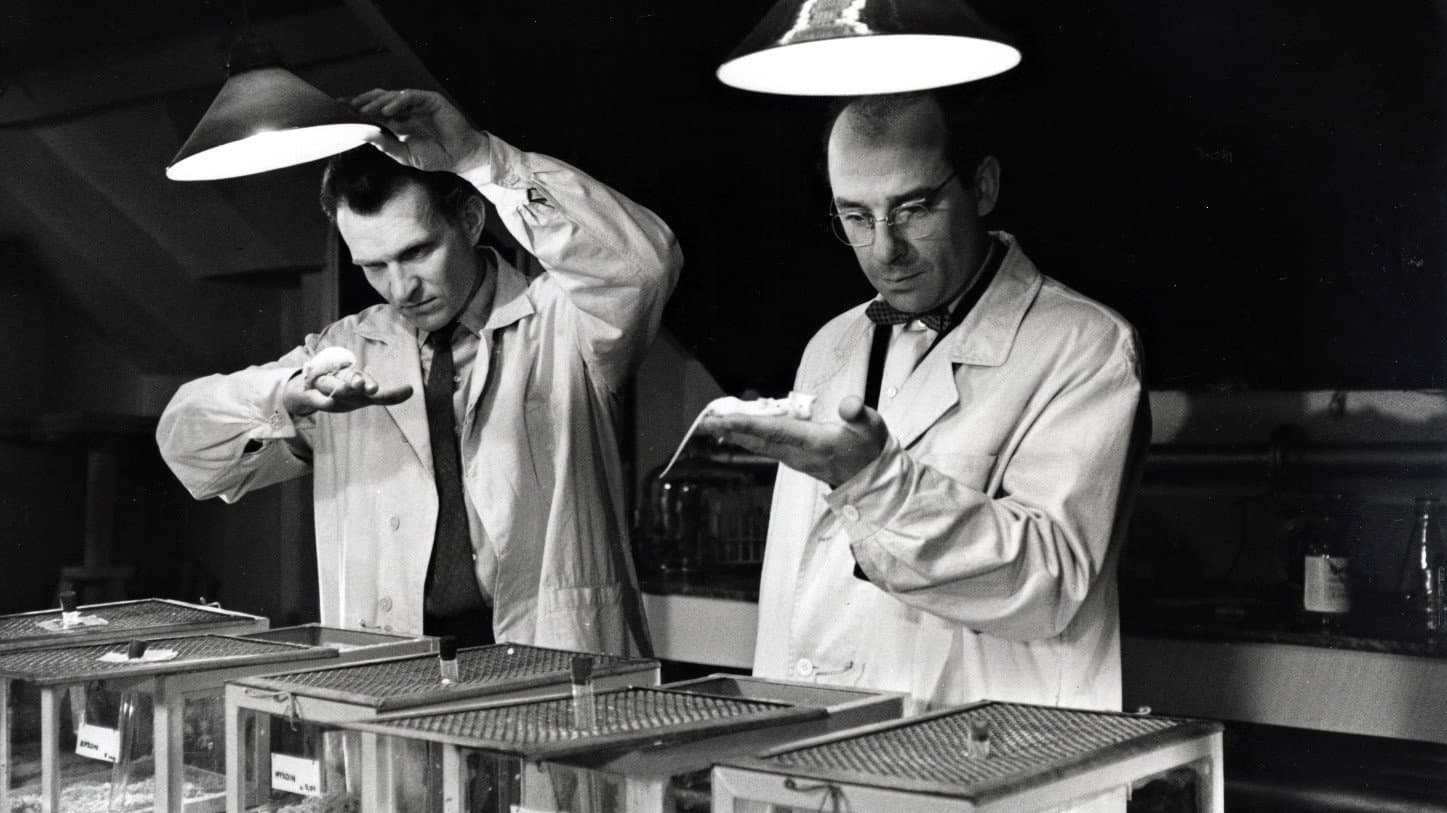 Mykoin PH 510 backdrop