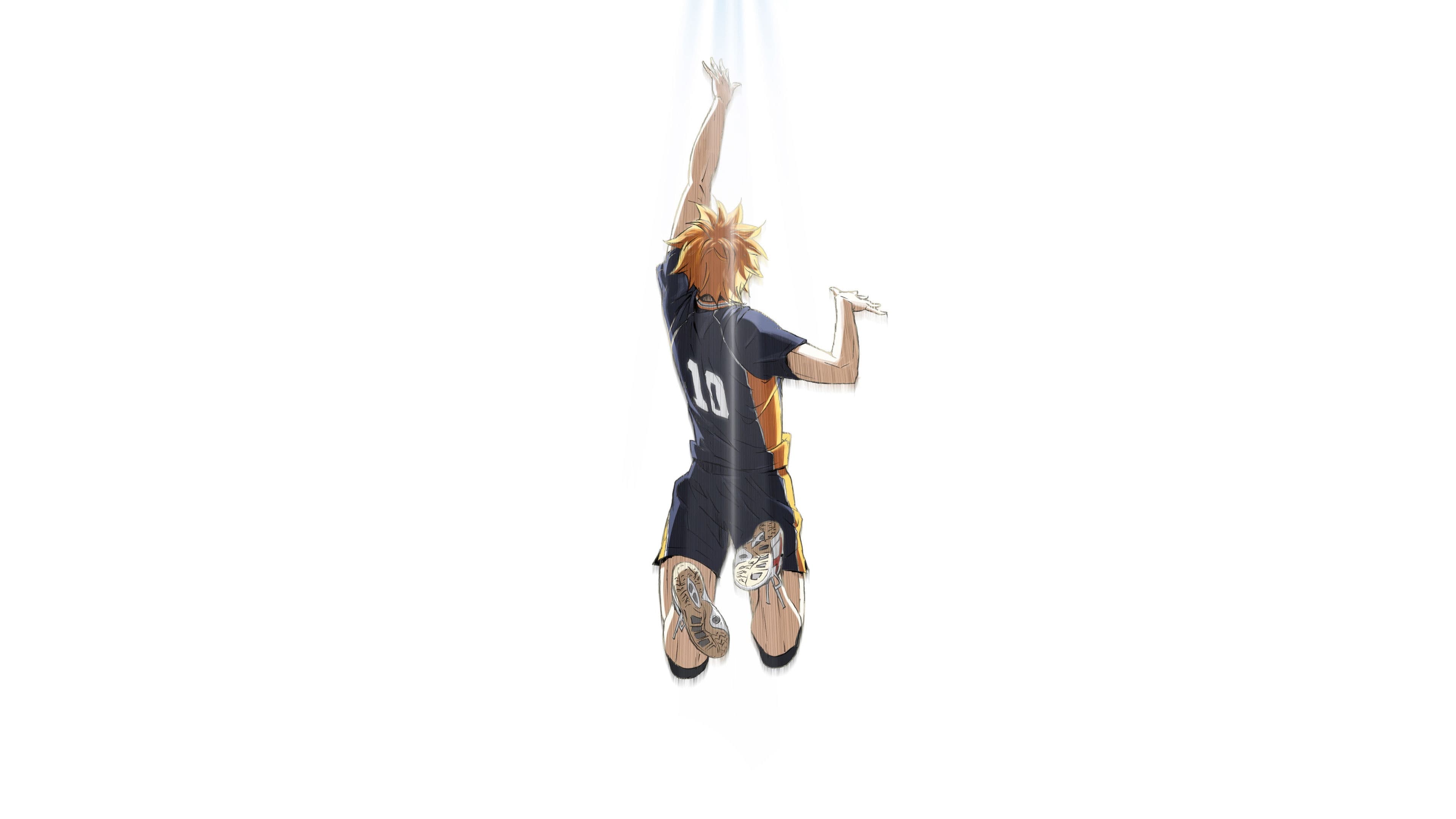 HAIKYU!! VS the Little Giant backdrop