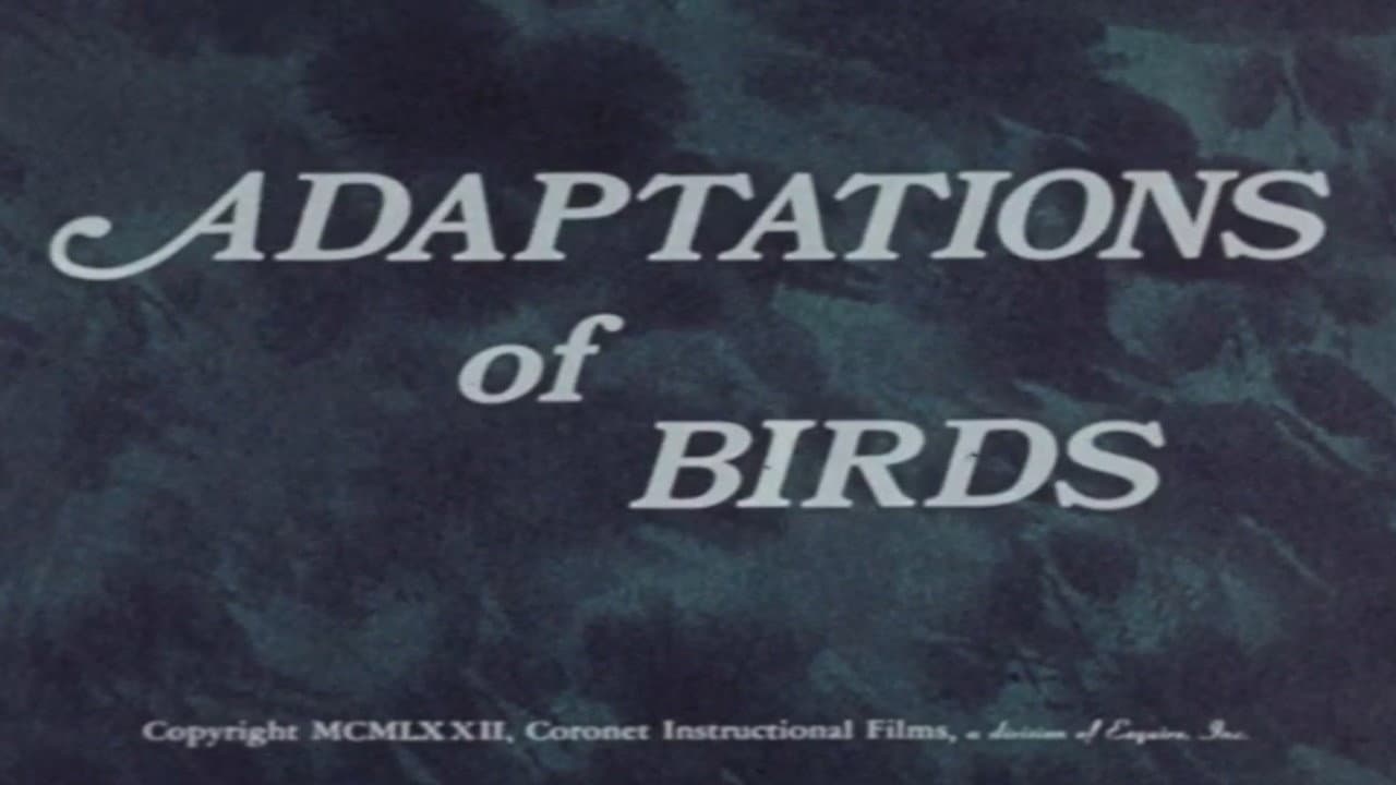 Adaptations of Birds backdrop
